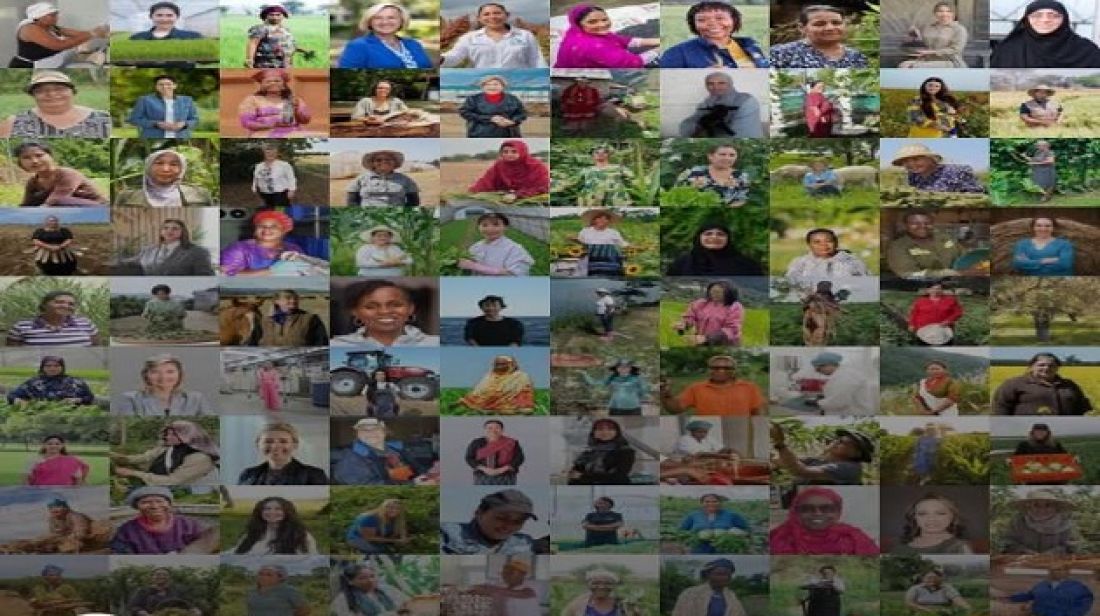 ‫’الفاو’: تونسية ضمن قائمة 100 امرأة ‘رائدة’ في مجال النظم الزراعية والغذائية