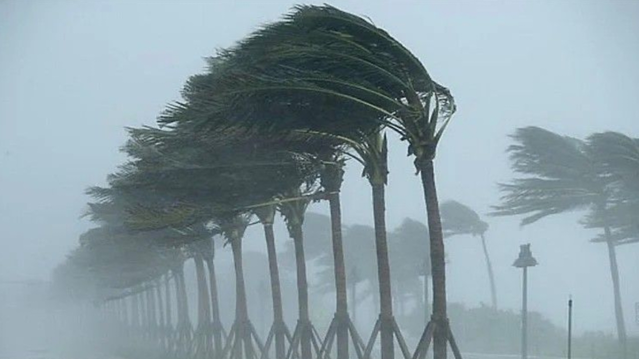 أمطار رعدية معتبرة تمس 18 ولاية