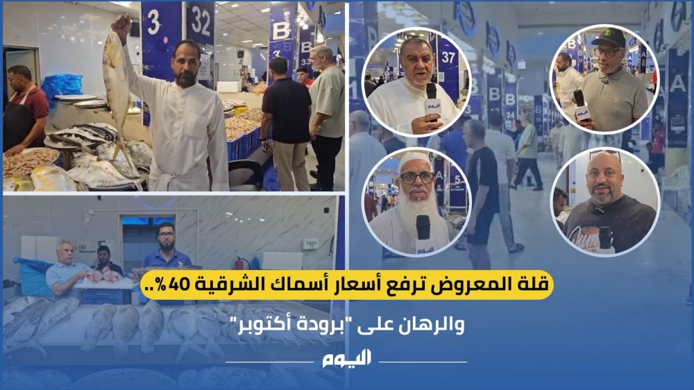 فيديو| قلة المعروض ترفع أسعار أسماك الشرقية 40%.. والرهان على «برودة أكتوبر»