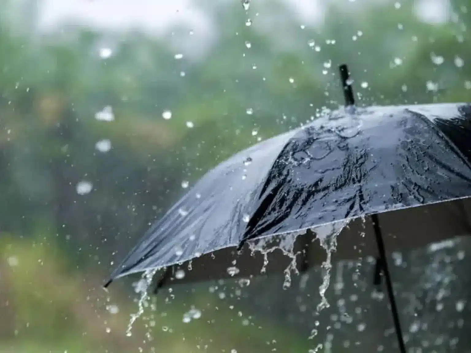 أمطار رعدية غزيرة بعدة ولايات يومي السبت والأحد