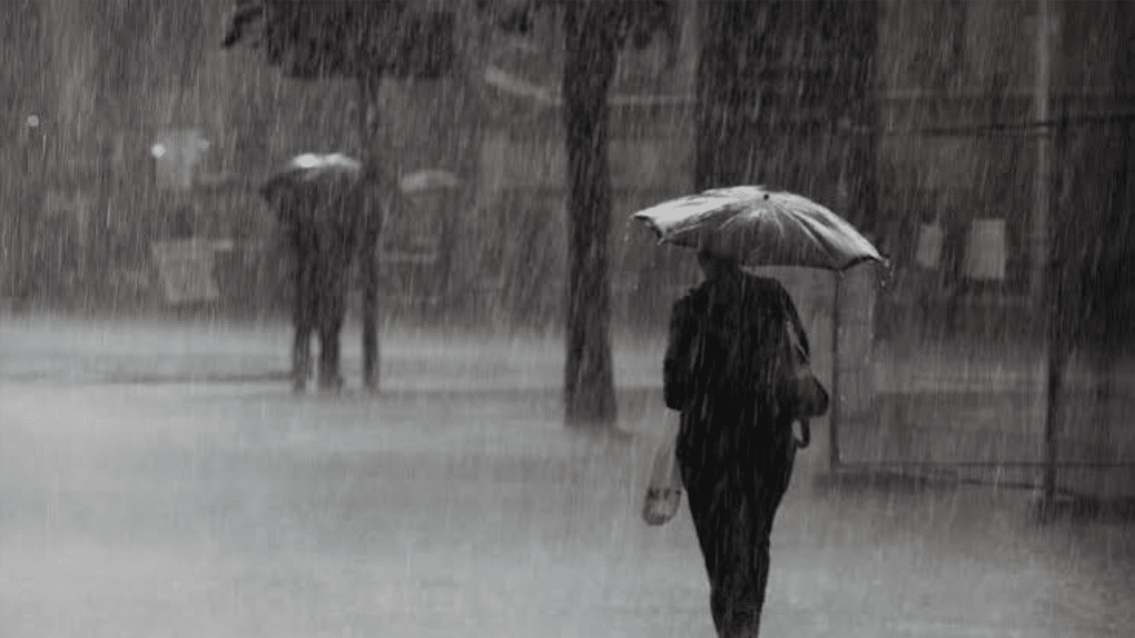 أمطار رعدية غزيرة عبر عدة ولايات