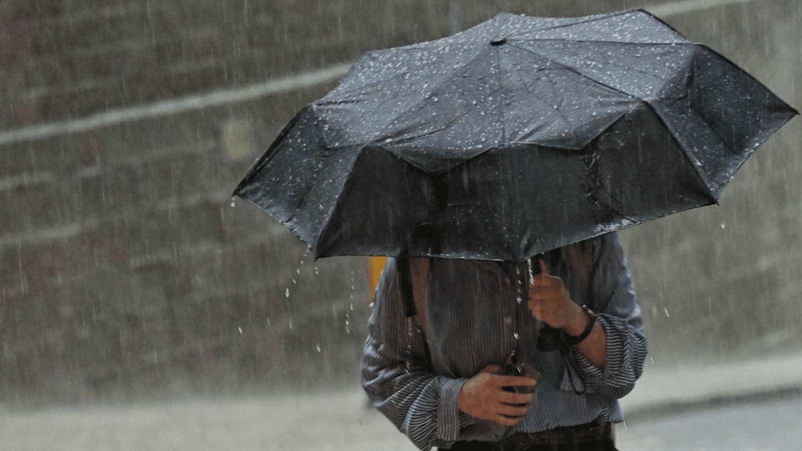أمطار غزيرة مرتقبة على عدة ولايات إلى غاية الثلاثاء