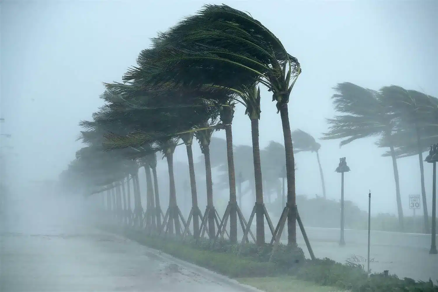 أمطار رعدية غزيرة مرتقبة في عدة ولايات