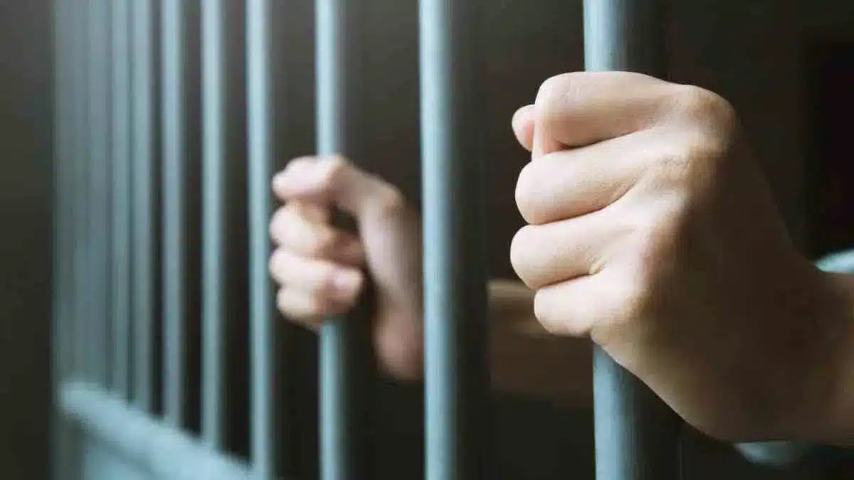 عفو رئاسي يشمل 5539 محبوسا بمناسبة ذكرى اندلاع الثورة التحريرية