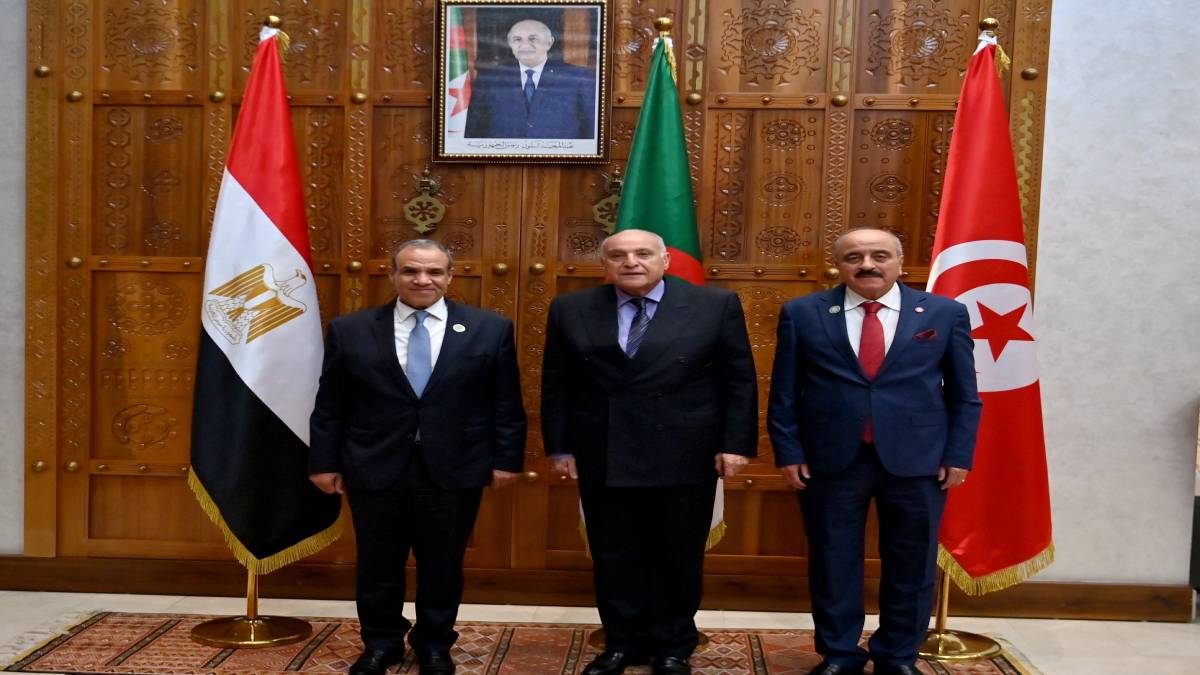 وزراء خارجية الجزائر وتونس ومصر يشددون على ضرورة إنهاء الأزمة الليبية وتوحيد مؤسساتها